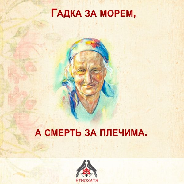 12993565_678136378992749_1751676678313754207_n